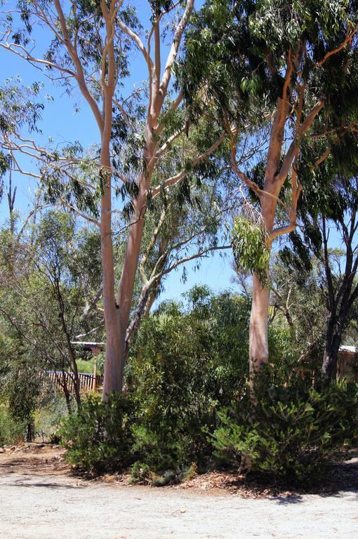 Floravalley Bed & Breakfast Toodyay Exterior photo